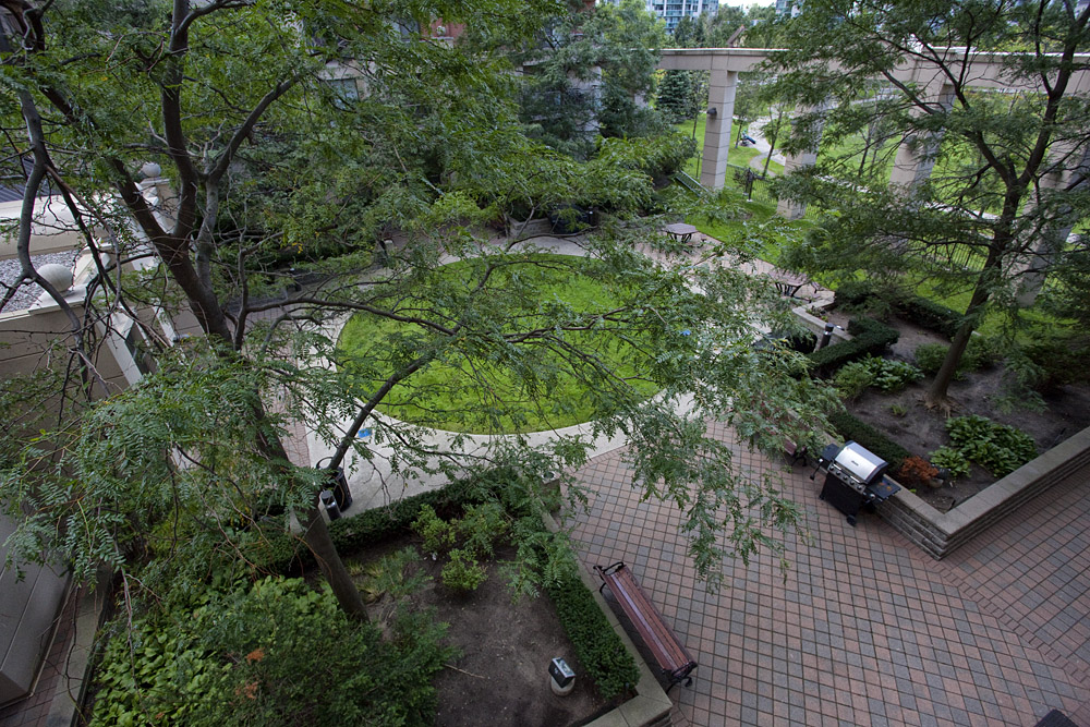 view from balcony